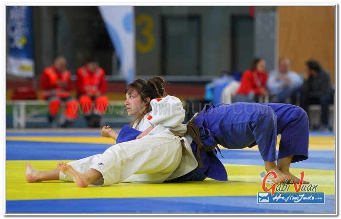 CEESCOLAR 20130064
